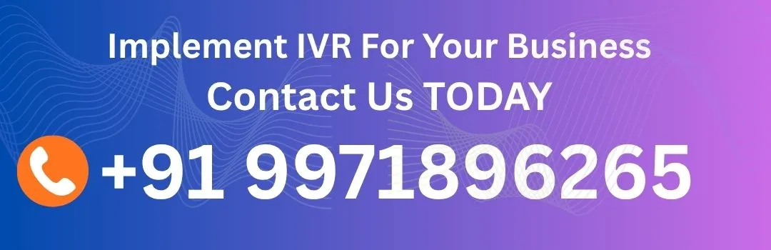 implement ivr business
